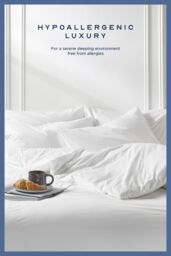 Snuggledown Hotel Quality 4.5 Tog Summer Duvet With 2 Pillows in White - Size: Super King - thumbnail 4