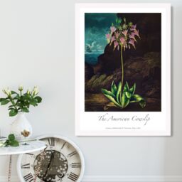 ARTZE Vintage Floral Exhibition - Cowslip Plant Framed Print SIZE: A3 with White Frame in Pink - Size: A4 - thumbnail 2