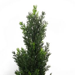 Leaf 90cm Artificial Cedar Cypress Topiary UV Resistant in Green - thumbnail 3