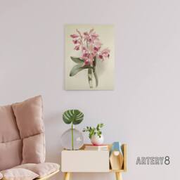 "Artery8 Frederick Sander Cattleya Elegans Orchid Flowers Canvas Wall Art Print in White - Size: W12"" x H16""" - thumbnail 3