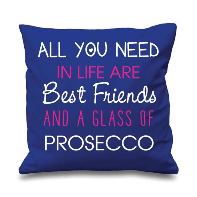 "60 SECOND MAKEOVER Blue Cushion Cover All You Need In Life Are Best Friends & A Glass Of Prosecco 16"" x 16"" Mum Friend Gift Decorative Cu"