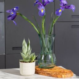 Verano Spanish Ceramics Glass Kitchen Dining Room Home Décor I Love Nature Vase - 22cm (H) in Clear - thumbnail 4