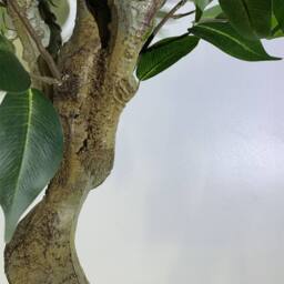 Leaf 100cm Realistic Artificial Ficus Tree / Plant Bush Ficus Multicolour Planter in Green - thumbnail 3