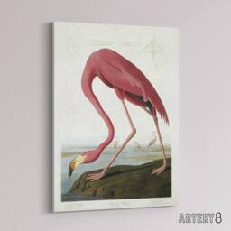 "Artery8 Audubon American Flamingo in Coastal Landscape Canvas Wall Art Print in Pink - Size: W18"" x H24""" - thumbnail 2