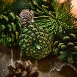 Dibor Woodland Green Round Table Centrepiece Christmas Decoration Candle Holders Tealight Holder 30cm - thumbnail 3