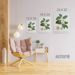 "Artery8 Mountain Camellia Flower Redoute Vintage Canvas Wall Art in White - Size: W24"" x H32""" - thumbnail 4