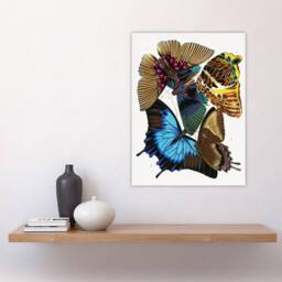 "Artery8 Colourful Vintage Butterflies Vintage Wall Art Print Eugene Seguy - Size: W24"" x H32""" - thumbnail 4