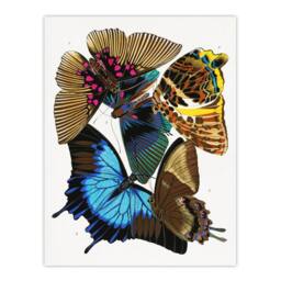 "Artery8 Colourful Vintage Butterflies Vintage Wall Art Print Eugene Seguy - Size: W24"" x H32""" - thumbnail 1