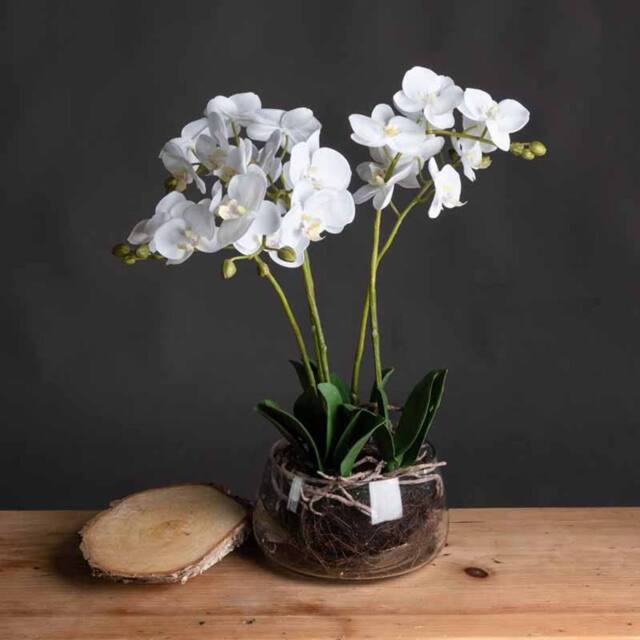 Lemon Pavilion Furniture and Decor Orchid in Glass Pot Artificial Flower - L21 x W21 x H61 cm - White - image 1