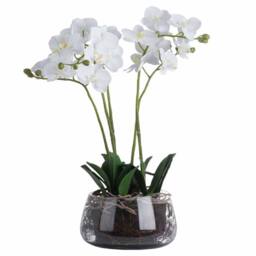 Lemon Pavilion Furniture and Decor Orchid in Glass Pot Artificial Flower - L21 x W21 x H61 cm - White - thumbnail 2