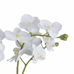 Lemon Pavilion Furniture and Decor Orchid in Glass Pot Artificial Flower - L21 x W21 x H61 cm - White - thumbnail 3