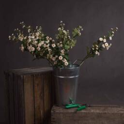 Lemon Pavilion Furniture and Decor Wild Meadow Rose Artificial Flower - L15 x W15 x H74 cm - Cream