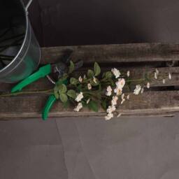 Lemon Pavilion Furniture and Decor Wild Meadow Rose Artificial Flower - L15 x W15 x H74 cm - Cream - thumbnail 2
