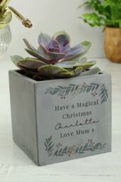 Personalised Memento Company Personalised Christmas Foliage Concrete Planter in Grey - thumbnail 3