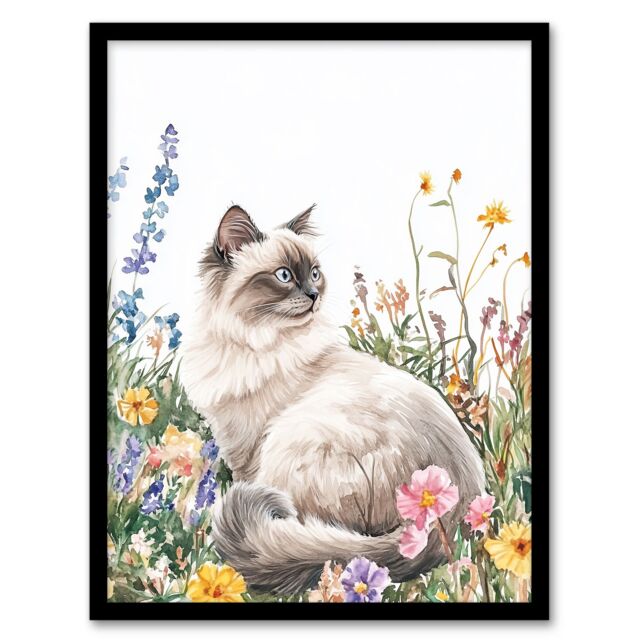 Artery8 Ragdoll Cat Lover Pet Wildflower Floral Portrait Framed Art Print - Size: A4 - image 1