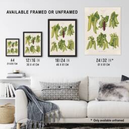 Artery8 Peas Kitchen Vintage Botanical Ernst Benary Framed Wall Art Print in White - Size: A4 - thumbnail 3