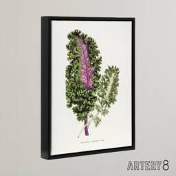 "Artery8 AF Lydon Benjamin Fawcett Green Wild Cabbage Leaf Framed Canvas Art in White - Size: W12"" x H16""" - thumbnail 2