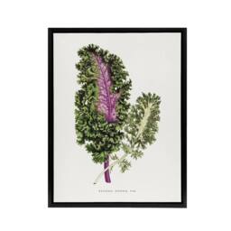 "Artery8 AF Lydon Benjamin Fawcett Green Wild Cabbage Leaf Framed Canvas Art in White - Size: W12"" x H16""" - thumbnail 1
