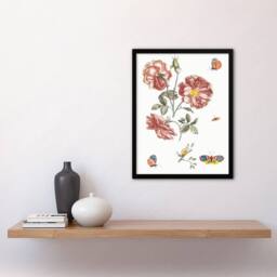 Artery8 Rose Flowers Butterflies & a Snail Teyler Framed Wall Art Print in White - Size: A4 - thumbnail 2