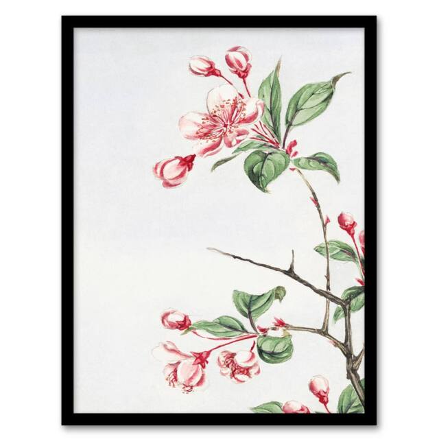 "Artery8 Kaido Crabapple Flower Bloom Retro Japan Framed Wall Art Print Morikaga in Pink - Size: W12"" x H16""" - image 1