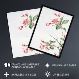 "Artery8 Kaido Crabapple Flower Bloom Retro Japan Framed Wall Art Print Morikaga in Pink - Size: W12"" x H16""" - thumbnail 2