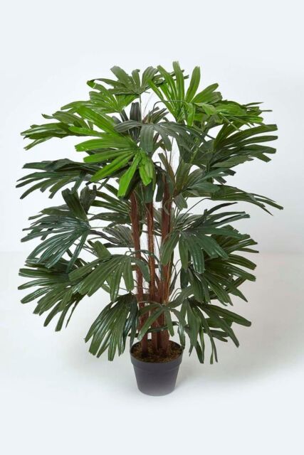 Homescapes Artificial Rhapis Excelsa Palm Tree, 120 cm Tall in Green - image 1