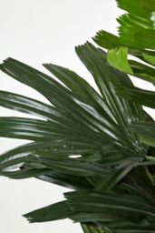 Homescapes Artificial Rhapis Excelsa Palm Tree, 120 cm Tall in Green - thumbnail 4