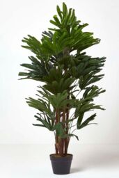 Homescapes Artificial Rhapis Excelsa Palm Tree, 120 cm Tall in Green - thumbnail 5