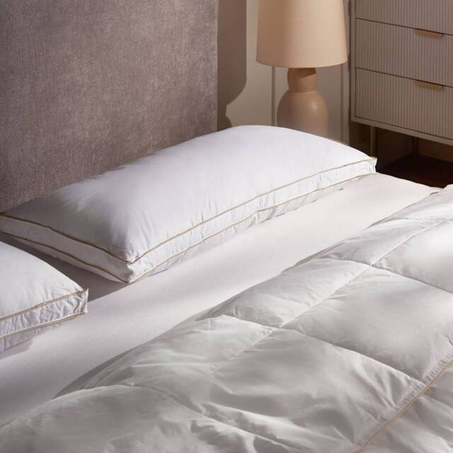 Wyld and Coco White Triple Compartment Down Pillow 40 x 80 cm Cotton Casing - image 1