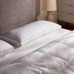 Wyld and Coco White Triple Compartment Down Pillow 40 x 80 cm Cotton Casing