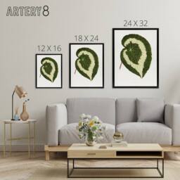 "Artery8 AF Lydon Benjamin Fawcett Begonia Red Leaf Framed Canvas Art Print in White - Size: W12"" x H16""" - thumbnail 4