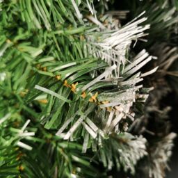 Samuel Alexander 55cm Premier Christmas Snow Tipped Green Pine PVC Door Wreath - thumbnail 3