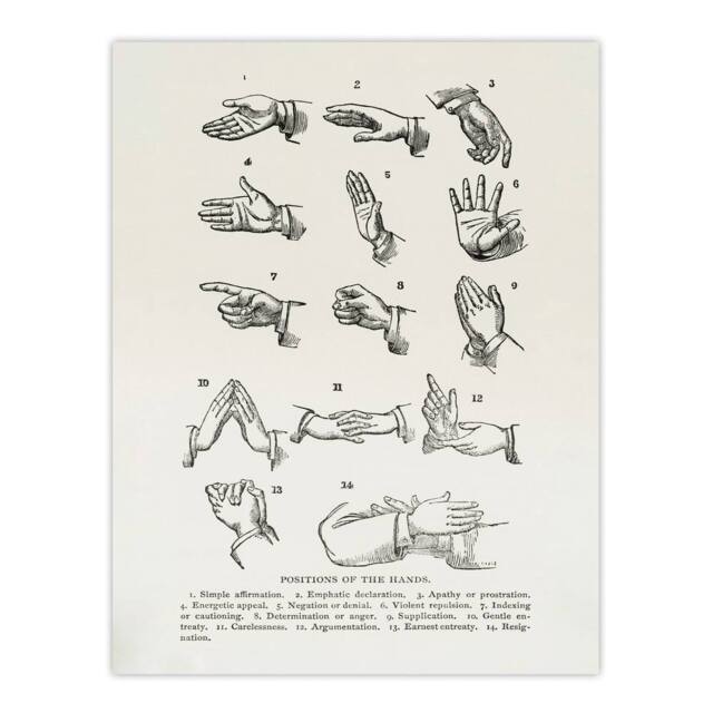 "Artery8 Positions of Hand Gestures Richardson Vintage Wall Art Print Poster in White - Size: W12"" x H16""" - image 1