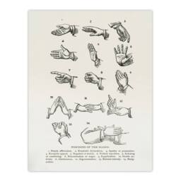 "Artery8 Positions of Hand Gestures Richardson Vintage Wall Art Print Poster in White - Size: W12"" x H16""" - thumbnail 1