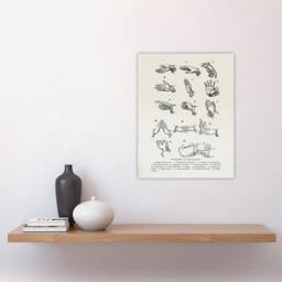 "Artery8 Positions of Hand Gestures Richardson Vintage Wall Art Print Poster in White - Size: W12"" x H16""" - thumbnail 4