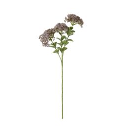 Hill Interiors Sedum Spray Artificial Flower in Purple - thumbnail 1