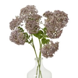 Hill Interiors Sedum Spray Artificial Flower in Purple - thumbnail 2