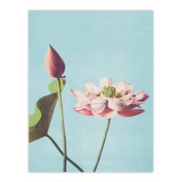 Artery8 Ogawa Kazumasa Framed Wall Art Print Pink Lotus Flower Blooms in Blue - Size: A4 - thumbnail 3
