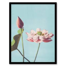 Artery8 Ogawa Kazumasa Framed Wall Art Print Pink Lotus Flower Blooms in Blue - Size: A4 - thumbnail 1