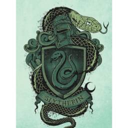 Harry Potter Slytherin Canvas Print in Green - thumbnail 1
