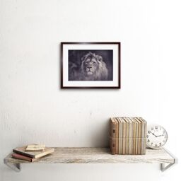 "Artery8 Wall Art Print Bredesen Male African Lion Framed in Brown - Size: W7"" x H9""" - thumbnail 2