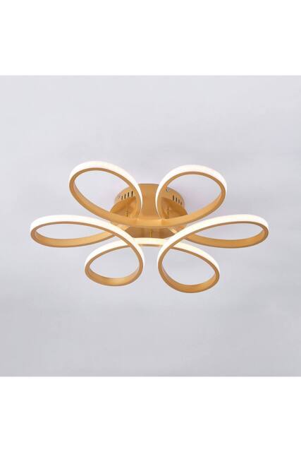 Garden Sanctuary Modern Acrylic Light-adjusted Petal LED Semi Ceiling Light in Gold - image 1