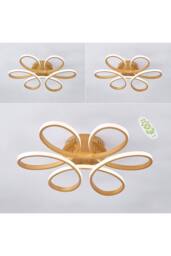 Garden Sanctuary Modern Acrylic Light-adjusted Petal LED Semi Ceiling Light in Gold - thumbnail 9