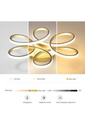 Garden Sanctuary Modern Acrylic Light-adjusted Petal LED Semi Ceiling Light in Gold - thumbnail 8