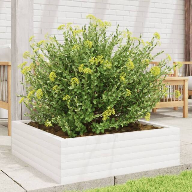 Berkfield Home Decorative Garden Planter White 80x80x23 cm Solid Wood Pine - Size: 80 x 80 x 23 cm - image 1
