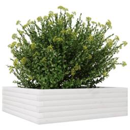 Berkfield Home Decorative Garden Planter White 80x80x23 cm Solid Wood Pine - Size: 80 x 80 x 23 cm - thumbnail 4