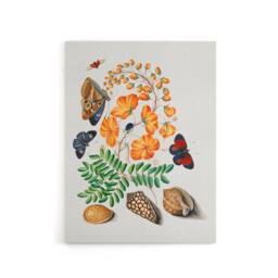 "Artery8 Flowers Butterflies & Seashells Bolton Canvas Wall Art - Size: W18"" x H24""" - thumbnail 1