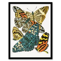 Artery8 Vintage Butterflies Blue Yellow Vintage Framed Wall Art Print Seguy - Size: A4 - thumbnail 1