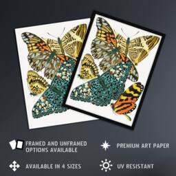 Artery8 Vintage Butterflies Blue Yellow Vintage Framed Wall Art Print Seguy - Size: A4 - thumbnail 2