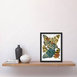 Artery8 Vintage Butterflies Blue Yellow Vintage Framed Wall Art Print Seguy - Size: A4 - thumbnail 4
